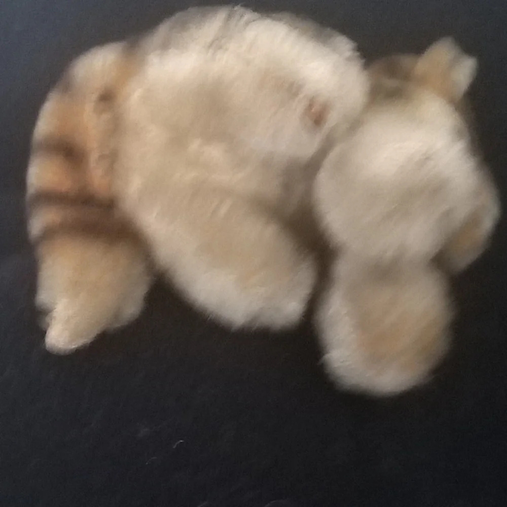 This item is a vintage Steiff Seated Tiger Cub, manf in Germany 1959 - 1961